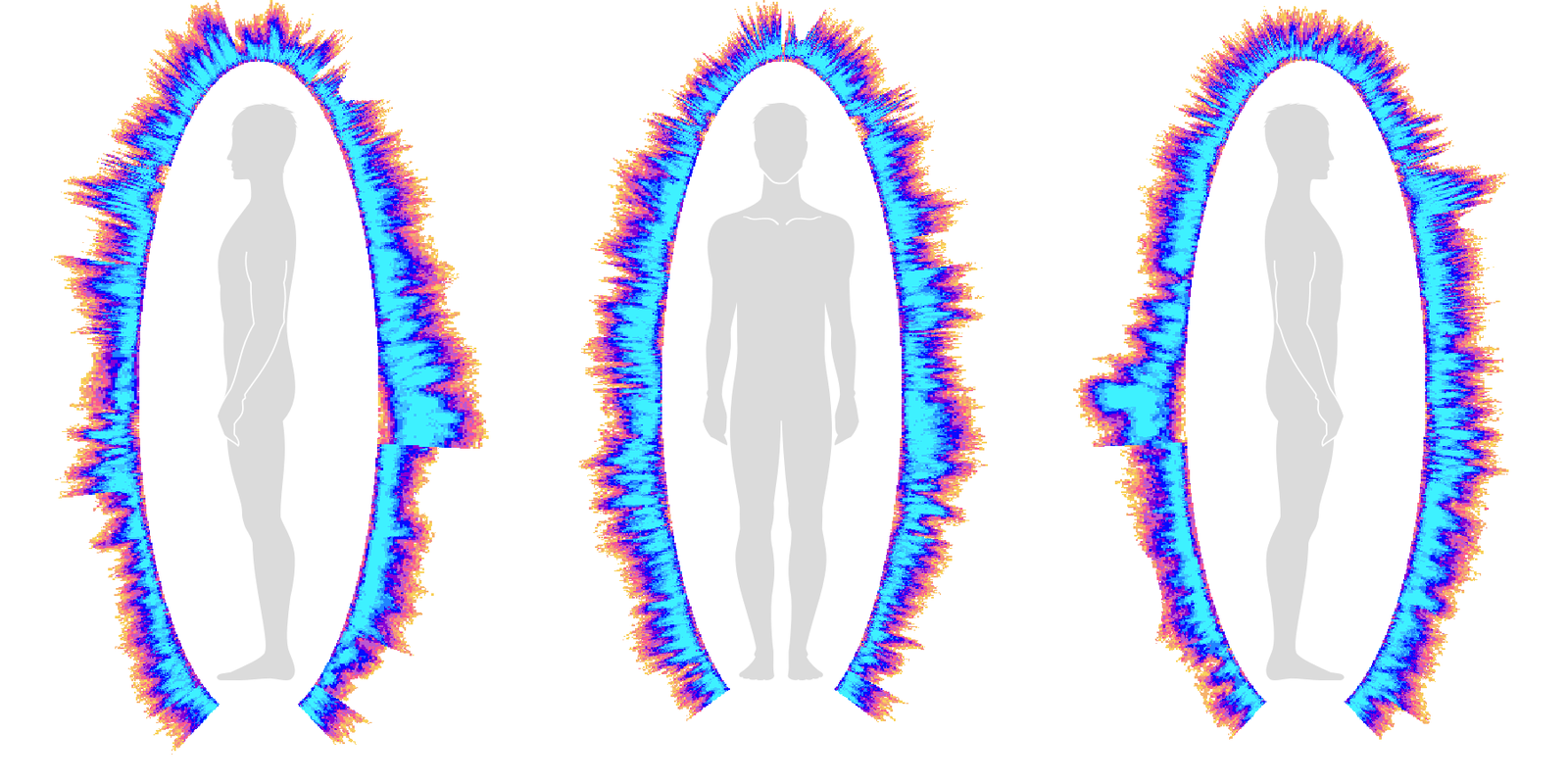 Visualización de campo Bio-Well posterior